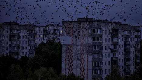 Swarms of Russian drones plunge parts of Ukraine into darkness, as Zelensky turns to Europe again | Remotely Piloted Systems | Scoop.it