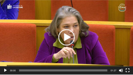 Commission de la culture 18/11/2025 - "Architecture, urbanisme, environnement : les CAUE en danger" | Actu Archi-Urba-Environnement-Paysage | Scoop.it