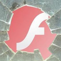 Adobe Flash zero day exploit patched, after foreign policy websites compromised | 21st Century Learning and Teaching | Scoop.it