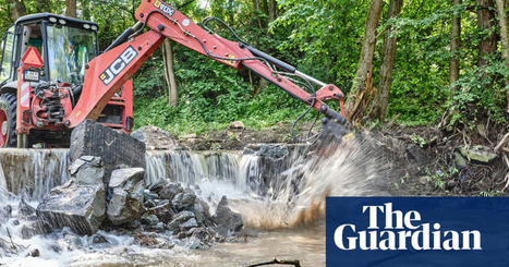 Record number of dams removed from Europe’s rivers in 2021 | Rivers | The Guardian | Stage 5 Environmental Change: Riverine Environments | Scoop.it