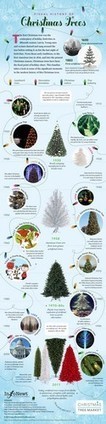 History of the Christmas Tree Infographic | P O C: Pr&eacute;sentation Originale des Connaissances | Scoop.it