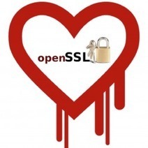 Des hackers pr&eacute;parent des attaques exploitant la faille OpenSSL Heartbleed | Libert&eacute;s Num&eacute;riques | Scoop.it