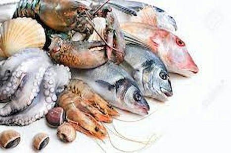 La TUNISIE au SEAFOOD&rsquo;2024 de Barcelone | CIHEAM Press Review | Scoop.it