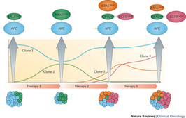 Integrating liquid biopsies into the management of cancer : Nature Reviews Clinical Oncology : Nature Research | from Flow Cytometry to Cytomics | Scoop.it