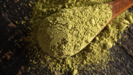 Researchers Investigate Olive Powder as FOOD Ingredient | CIHEAM Press Review | Scoop.it