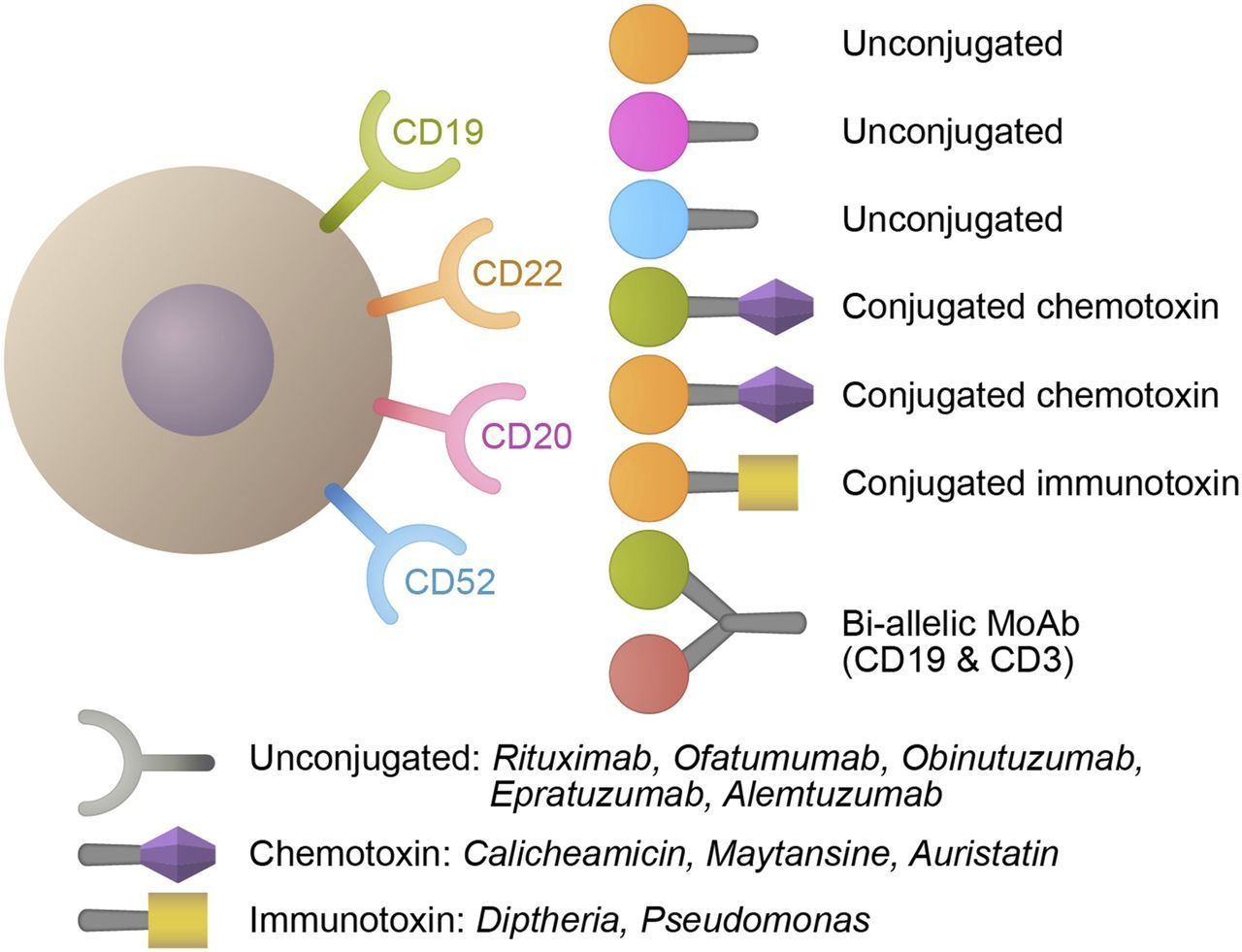 Monoclonal antibodies in acute lymphoblastic le...