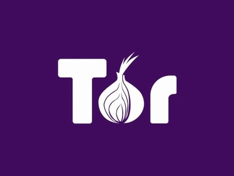 Two Tor zero-days disclosed, more to come | #CyberSecurity | ICT Security-Sécurité PC et Internet | Scoop.it