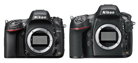 Nikon D600 vs D800 | Nikon D600 | Scoop.it