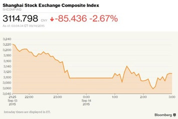 China's Stocks Decline Most in Three Weeks on Slowdown Concerns | Financial Markets Report  - Transforming Money Into Wealth | Scoop.it