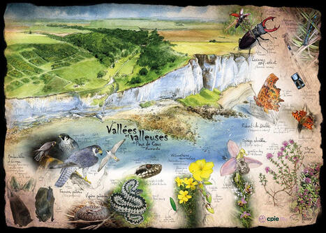 "Vall&eacute;es et valleuses du Pays de Caux", le dernier n&eacute; des posters " Littoraux normands 2027". Un patrimoine naturel remarquable &agrave; d&eacute;couvrir ou &agrave; red&eacute;couvrir. Eh oui, il n'y a pas qu'Etretat et&hellip; | ... | Veille territoriale AURH | Scoop.it