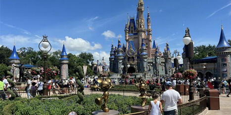 'Devastating consequences': Trump-inspired travel boycott rocks Florida tourism officials - Raw Story | Backstabber Watch | Scoop.it