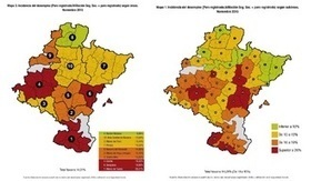 El paro en Navarra sigue teniendo profundos desequilibrios territoriales | Ordenación del Territorio | Scoop.it