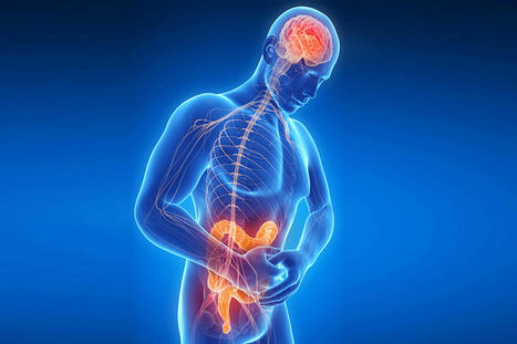 An Overview On Different Factors Affecting Gut-Brain Axis | Part 2 | Call: 915-850-0900 | The Gut "Connections to Health & Disease" | Scoop.it