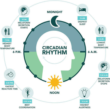 A Dose of Nature | LIGHTING-Innovation-Design | Scoop.it