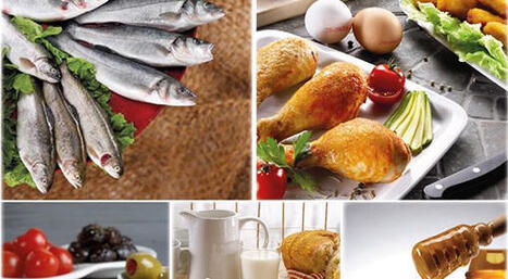 TURKIYE: Bedri Girit: 47 percent of seafood and animal product exports come from the Aegean Region – | CIHEAM Press Review | Scoop.it