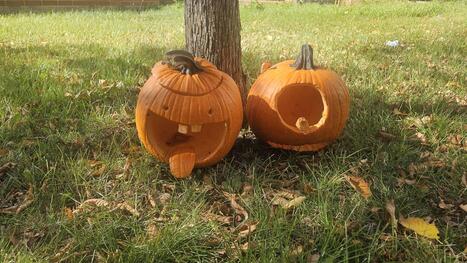 Opinion: Reduce, reuse, recycle your Halloween decorations – | Industry 411 - Waste Management | Scoop.it