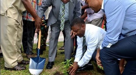 Jamaicans Are Extremely Eager to Open Legal Marijuana Businesses | Marijuana, Cannabis, Longevity, Legacy | Scoop.it