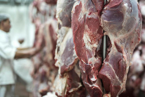 Viande bovine : quelles tendances et perspectives pour 2024 ? | Economie de l'Elevage | Scoop.it