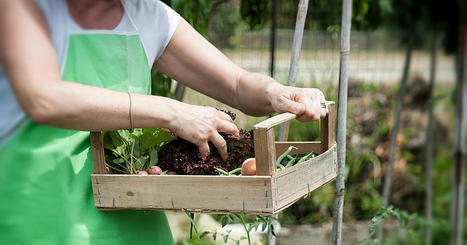 Quelle alimentation pour atteindre la neutralit&eacute; carbone en 2050&nbsp;? - Actu-environnement | Pour innover en agriculture | Scoop.it