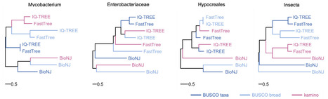 kamino: proteome-wide variant calling for amino acid phylogenomics | brve | RMH | Scoop.it