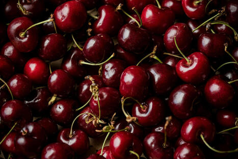 PORTUGAL has a Protected Geographical Indication for cherries&nbsp; | CIHEAM Press Review | Scoop.it
