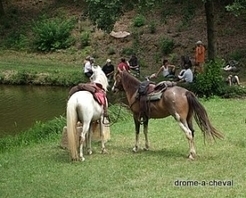 Dr&ocirc;me &agrave; cheval, loisirs &eacute;questres | Cheval et Nature | Scoop.it