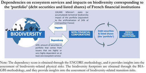 A “Silent Spring” for the Financial System? Exploring Biodiversity-Related Financial Risks in France | Biodiversité | Scoop.it