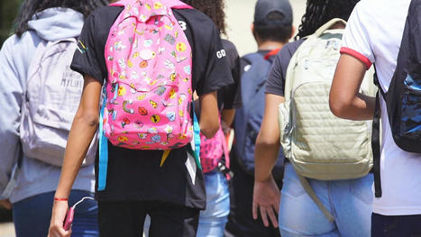Censo Escolar: menos da metade de alunos da educação infantil estão em escolas públicas; especialistas apontam falta de vagas no DF | Inovação Educacional | Scoop.it