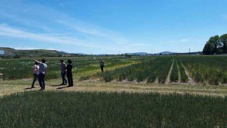 Chaleur, sécheresse, inondations : les scientifiques aident l'agriculture à surmonter le changement climatique | SCIENCES DU VEGETAL | Scoop.it