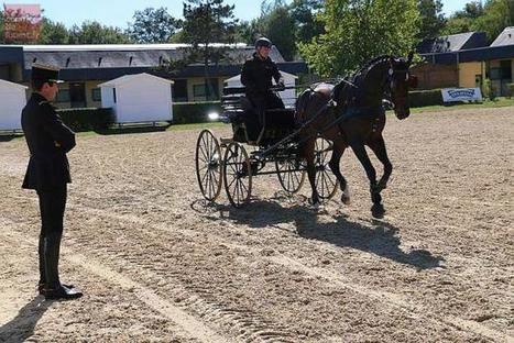 Saumur. Saumur et le Haras du Pin &agrave; la pointe des formations &eacute;quines | Cheval et Nature | Scoop.it
