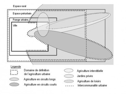 [Article] Pour une définition de l’agriculture urbaine : réciprocité fonctionnelle et diversité des formes spatiales | ESPACES VEGETALISES URBAINS | Scoop.it