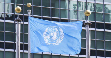 Ellen MacArthur Foundation reacts to latest round of UN plastic treaty negotiations | Local delivery for Gene Directed Enzyme Prodrug Therapy | Scoop.it