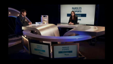 La Théorie des Contraintes - Interview TV de Philip Marris | La Tribune / Paroles d'experts | Théorie des Contraintes | Scoop.it
