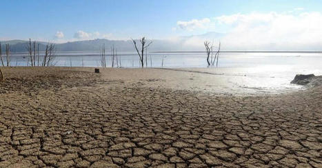 TUNISIA : 'Dangerous' Tunisian droughts threaten food security | CIHEAM Press Review | Scoop.it