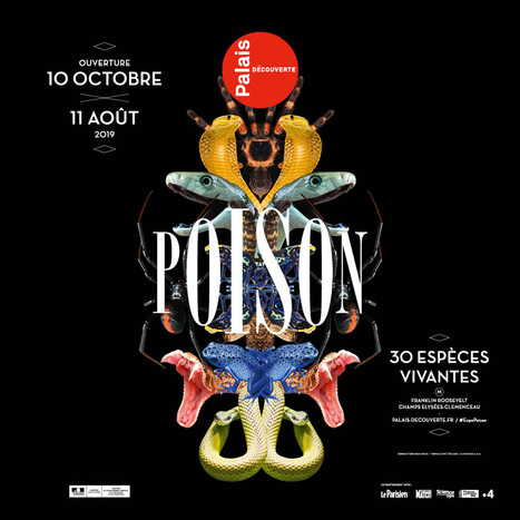 Paris: « Poison », l'exposition d'animaux venimeux qui nécessite un dispositif de sécurité exceptionnel | Variétés entomologiques | Scoop.it