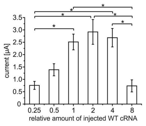 De novo loss- or gain-of-function mutations in KCNA2 cause epileptic encephalopathy | Genetics - GEG Tech top picks | Scoop.it