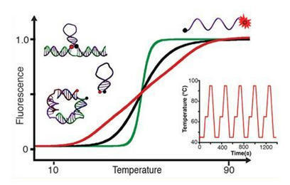 Smallest thermometer ever made from DNA | Amazing Science | Scoop.it