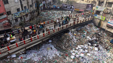 "La perte de biodiversit&eacute; est l'une des menaces les plus graves pour les entreprises", alertent des scientifiques dans un rapport | EntomoNews | Scoop.it