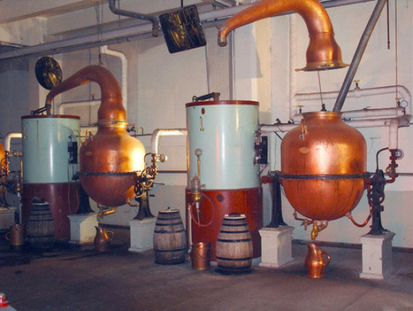 Sarkozy ironise sur le couple qu'il forme avec la presse | Chronique des Droits de l'Homme | Scoop.it