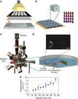 Untethered micro-robotic coding of three-dimensional material composition | Genetic Engineering Publications - GEG Tech top picks | Scoop.it