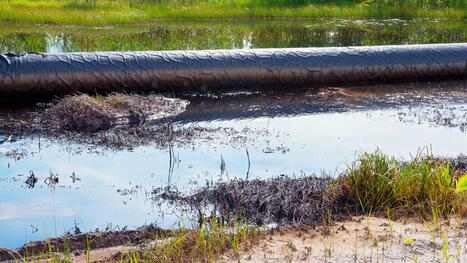 Federal officials make disturbing discovery while investigating massive oil pipeline spill - The Cool Down | Operation Deimos | Scoop.it