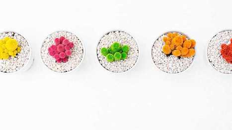 Diversity Makes Inclusion Harder, But Here&rsquo;s What To Do About It | Diversity & Inclusion in Business | Scoop.it
