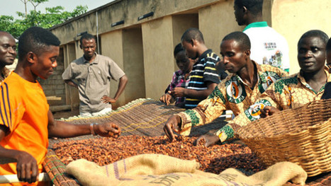 Can (Ghana's) cocoa farmers ever emerge from poverty?&nbsp; | Africa's Development, Trade, Finance | Scoop.it
