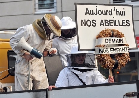 La loi biodiversité définitivement adoptée, les néonicotinoïdes finalement interdits | Ces infos qui nous font du bien | Scoop.it