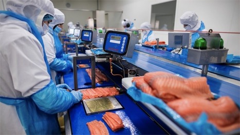 Les industriels bretons sur le pied de guerre pour nourrir la population | L'INDUSTRIE EN BRETAGNE | Scoop.it