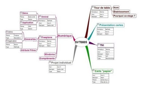 Utiliser autrement les cartes heuristiques avec Freeplane : Notes, Attributs et Filtres | information analyst | Scoop.it