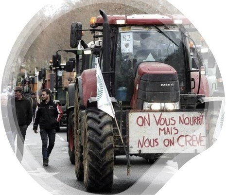 La colère des agriculteurs qui s’exprime en Europe s’étendra-t-elle en France ? | Lait de Normandie... et d'ailleurs | Scoop.it