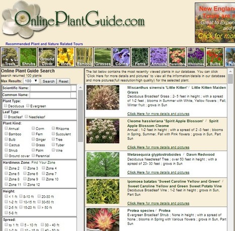 Online Plant Guide | Hobby, LifeStyle and much more... (multilingual: EN, FR, DE) | Scoop.it