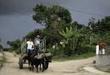 Cuba approves law aimed at attracting foreign investment | Family Office & Billionaire Report - Empowering Family Dynasties | Scoop.it