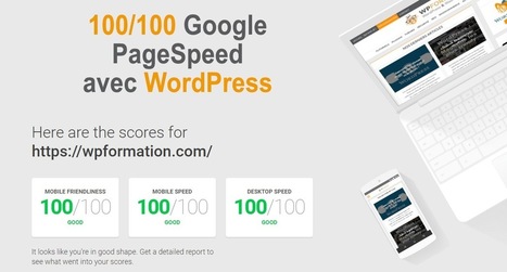 Obtenir 100/100 Google PageSpeed avec WordPress, c'est possible ! | WordPress France | Scoop.it